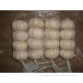 Pure White Garlic 4 pieces bag different sizes